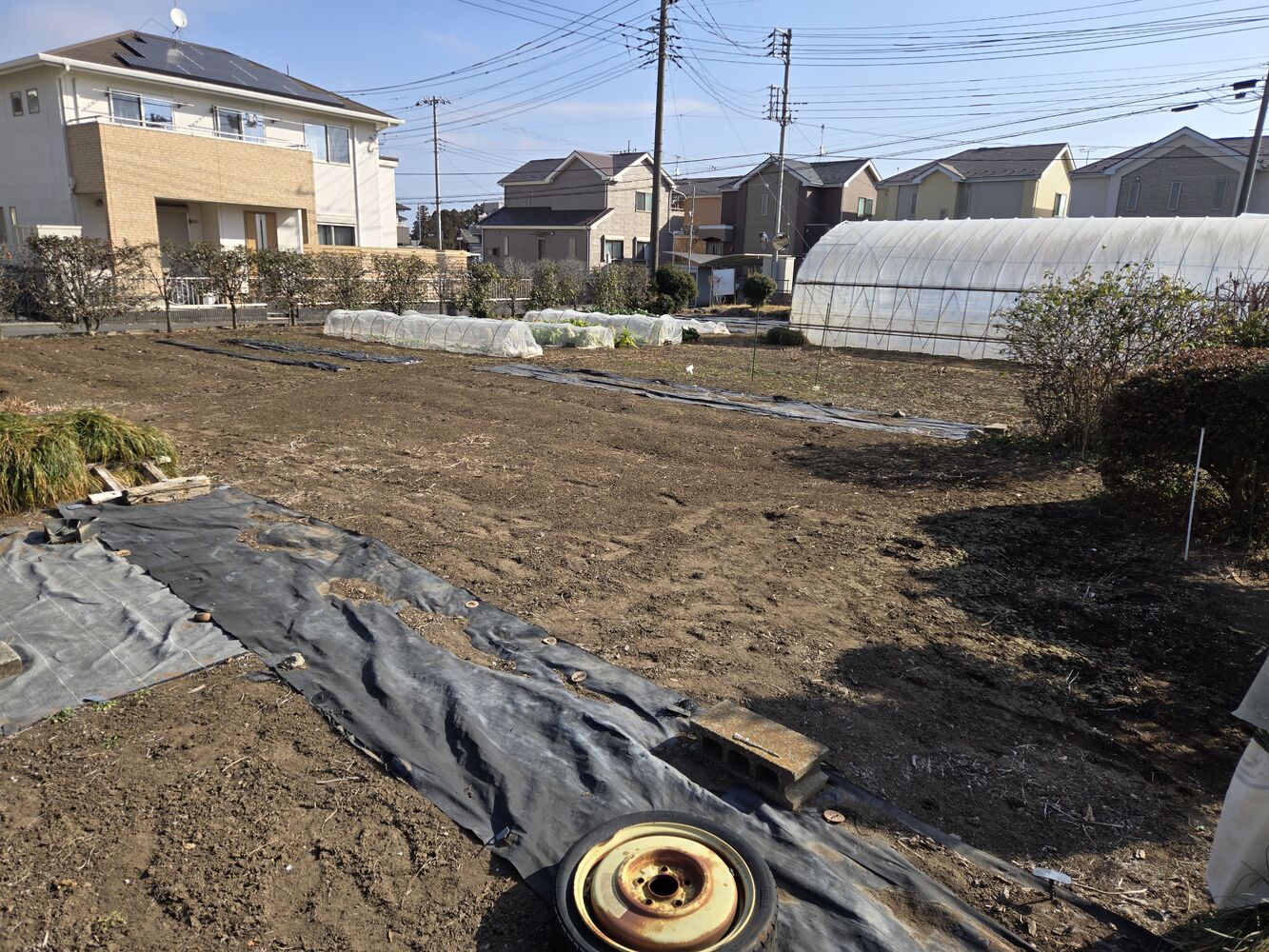 画像21168