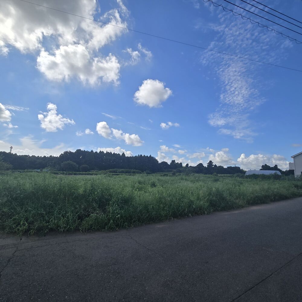 画像23304