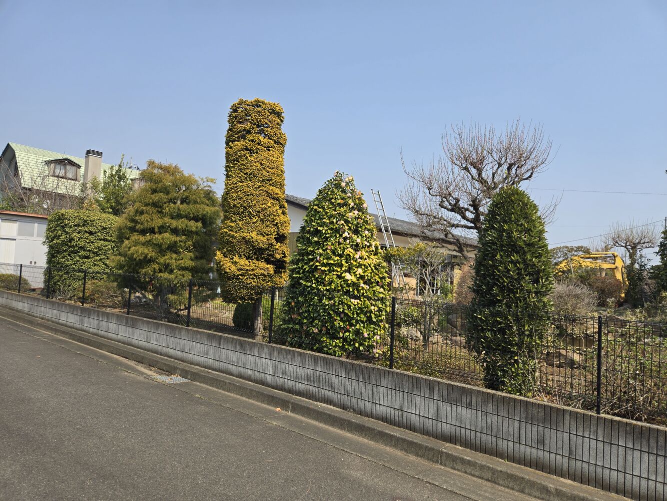 画像25935